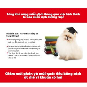 Men tiêu hoá BIO3-PET dành cho chó mèo