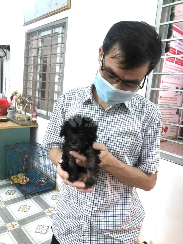 Samyang và chương trình hỗ trợ Hội châm cứu thú y Hà Nội