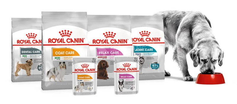 Thức ăn thú cưng Royal Canin