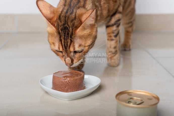 Pate cho mèo có đến 70% là nước nên là nguồn thức ăn cung cấp nước cho cơ thể mèo rất tốt