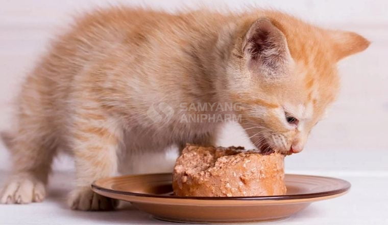Khi sử dụng, các "sen" cần lưu ý hơn để đảm bảo sức khỏe cho các "boss".
