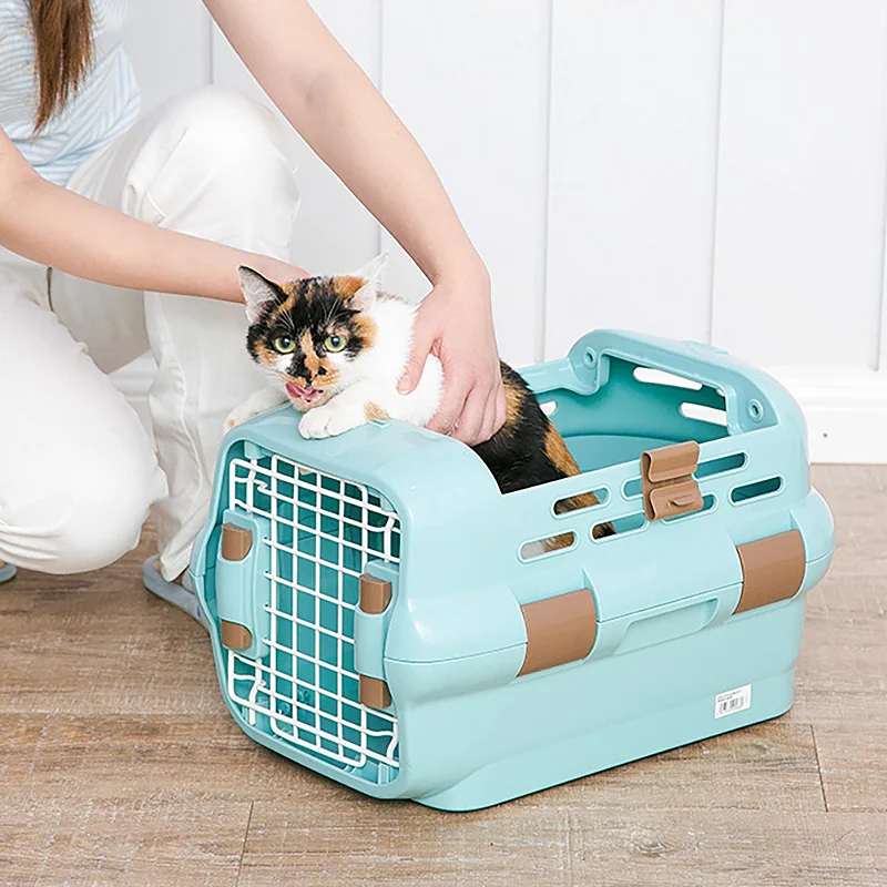 Túi lồng vận chuyển