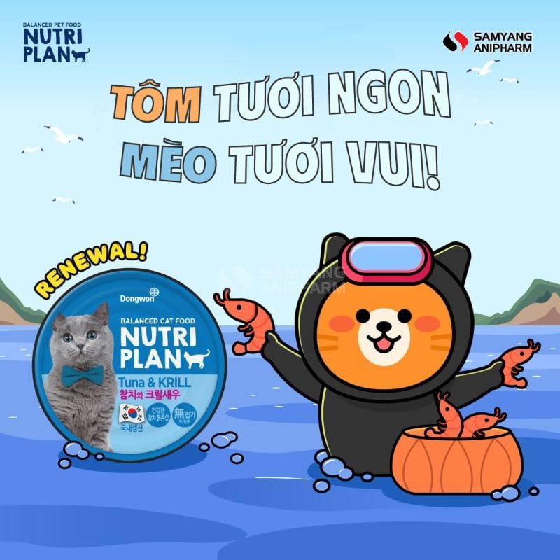 Pate Nutri Plan hương vị tôm chứa nhiều dinh dưỡng, kích thích vị giác của mèo