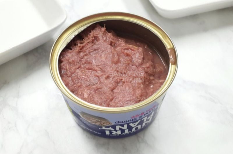 Pate là thức ăn ướt mà mèo nào cũng ăn được 