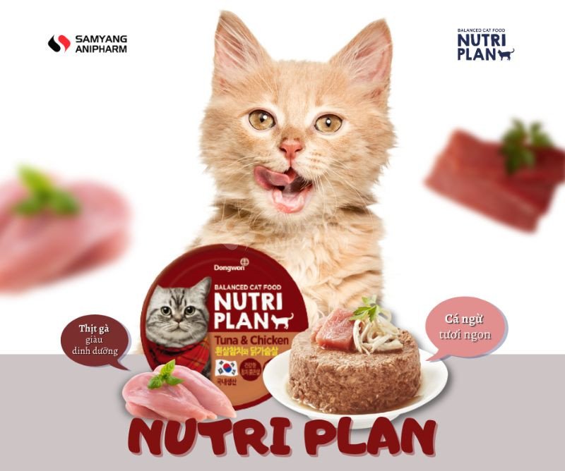 6 hương vị pate Nutri Plan khác nhau giúp mèo không chán