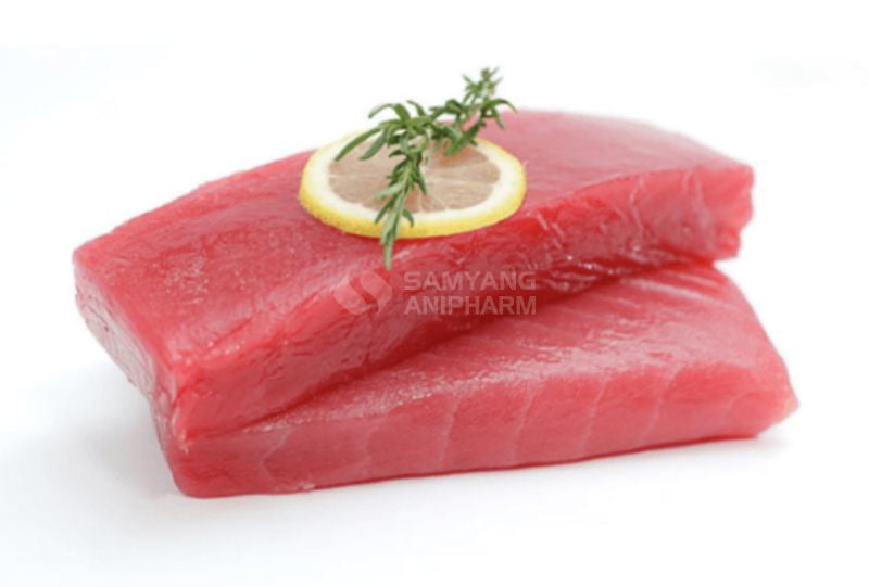 Thịt cá ngừ đỏ cũng rất giàu dinh dưỡng và rất tốt cho mèo