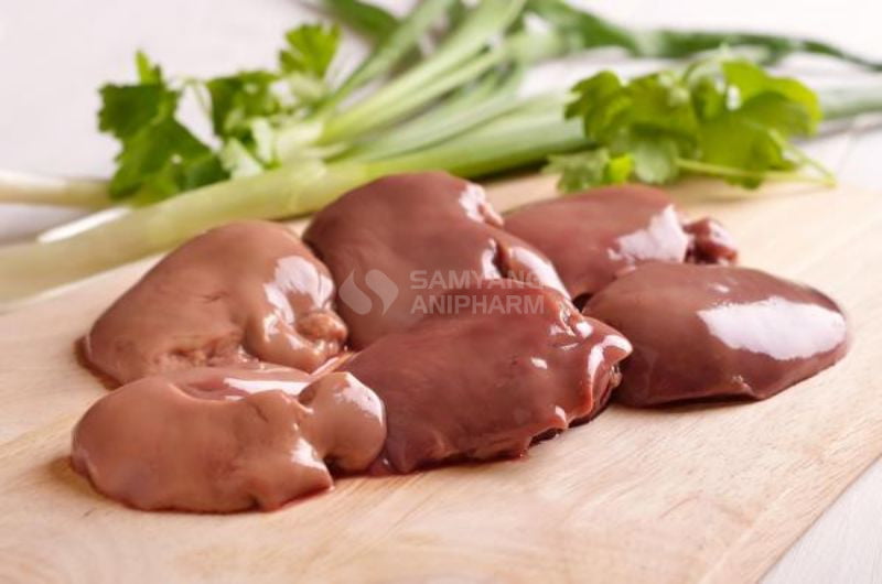 Gan gà đặc biệt bổ sung sắt cho mèo con và mèo già