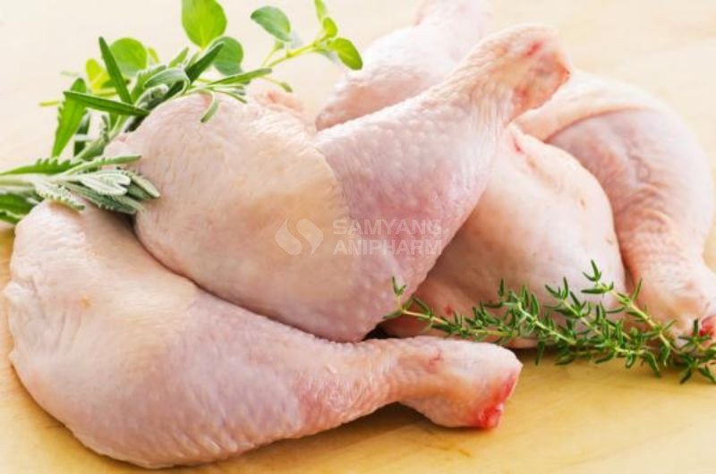 Đây là món pate lý tưởng dành cho mèo ăn kiêng, ngăn ngừa thừa cân, béo phì