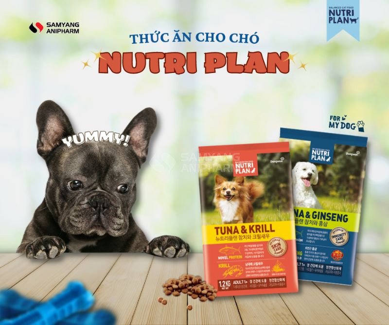 Thức ăn hạt Nutri Plan cho chó hương vị cá hồi & cá ngừ thơm ngon