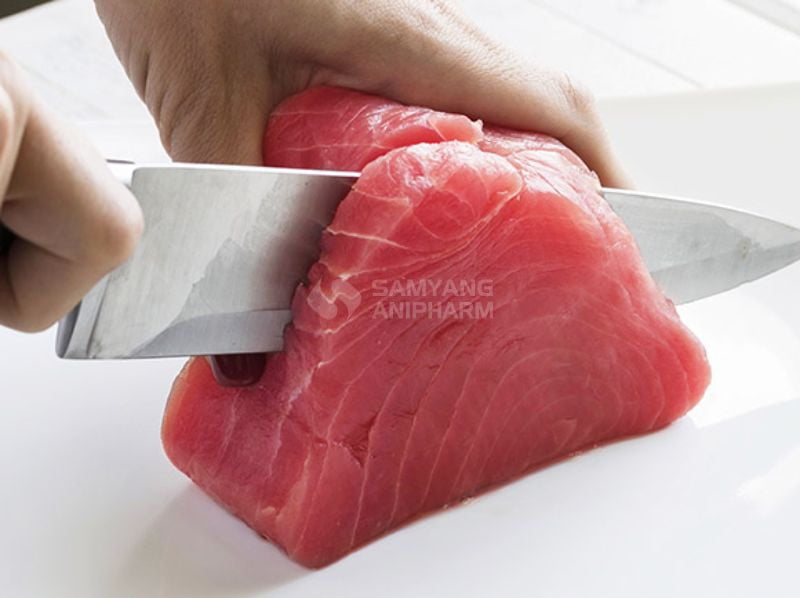 Miếng cá ngừ nhà máy Dongwon chế biến ra hạt Nutri Plan thực sự tươi ngon và dinh dưỡng