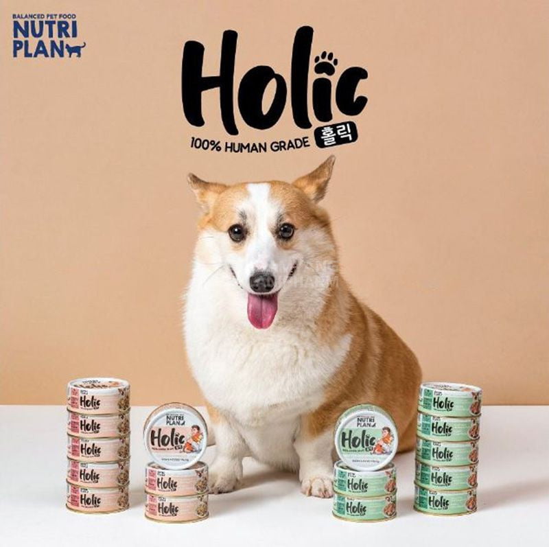 Tăng cường sức khỏe tim mạch thú cưng bằng pate cho chó Holic
