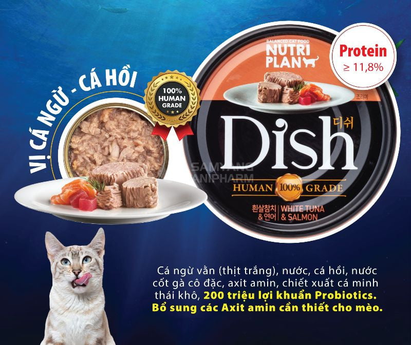 Pate cho mèo Dish không chỉ thơm ngon mà còn đạt chuẩn 100% Human Grade