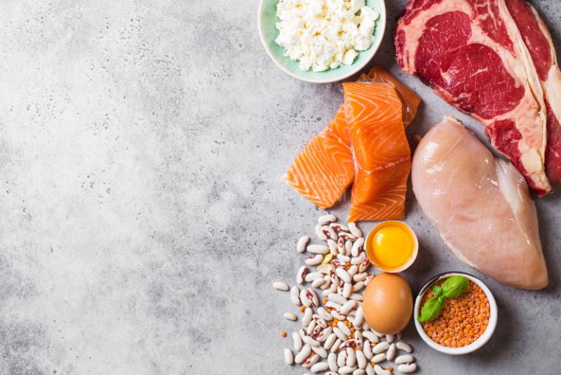 Thức ăn từ động vật và thực vật đều chứa protein tốt cho sức khỏe của chó