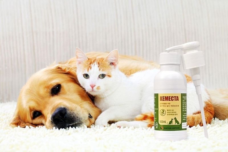 Thuốc điều trị tiêu chảy cho chó mèo Kemecta vô cùng hiệu quả
