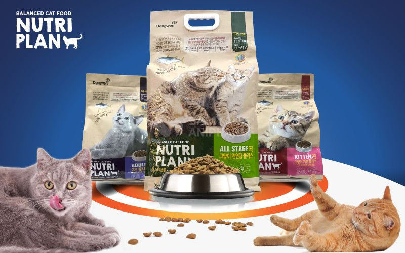 Trong thức ăn hạt cho mèo Nutri Plan rất giàu DHA nhờ thành phần cá ngừ đại dương