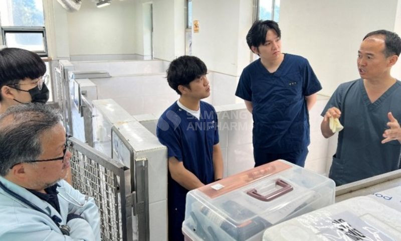 Sinh viên Hàn Quốc tham gia hoạt động tình nguyện tại Hội thú y Không biên giới 