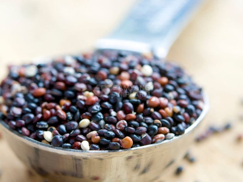 Đây là nguồn cung cấp chất xơ, folate, magie, sắt, phốt pho và nhiều chất phytochemical