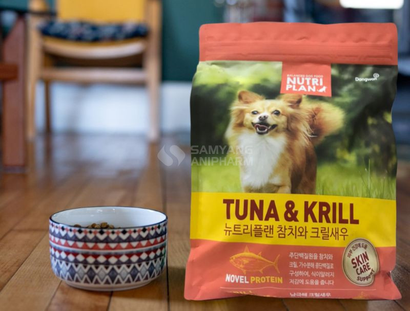 Bổ sung dinh dưỡng cho chó già bằng thức ăn cao cấp Nutri Plan