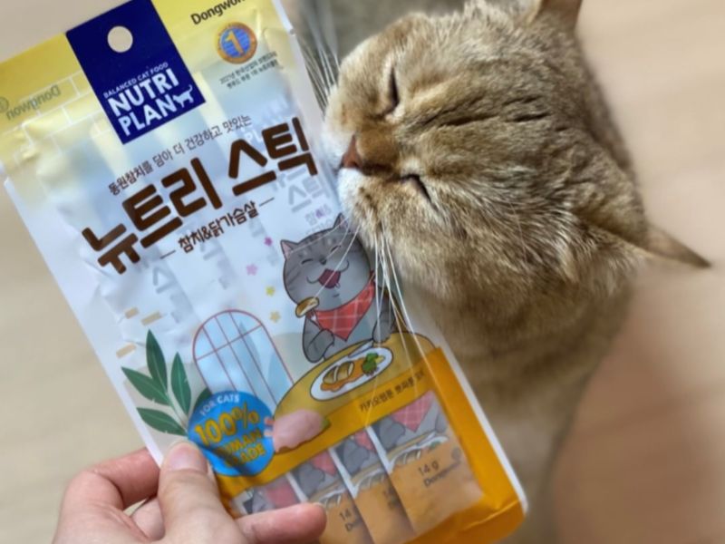 súp dinh dưỡng Nutri Plan