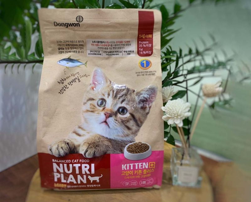 Thức ăn hạt Nutri Plan Kitten Plus rất phù hợp cho mèo con