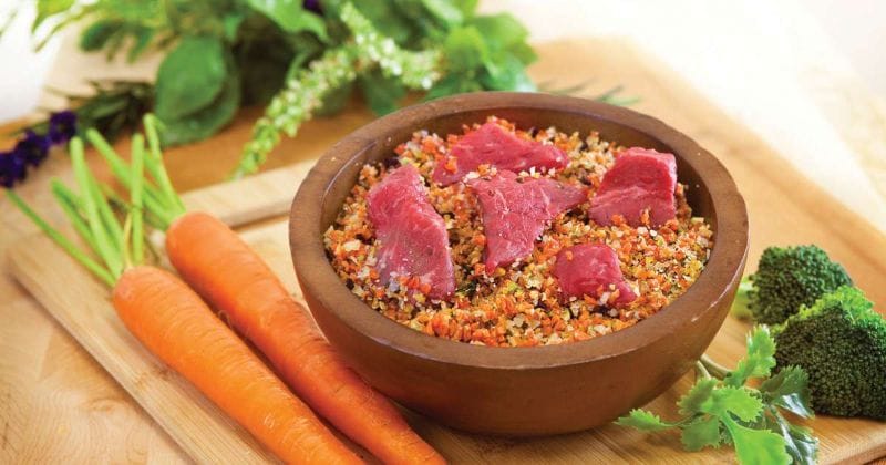 Nên lưu trữ thức ăn trong hộp kín, tránh ánh nắng, tốt nhất là trong tủ lạnh