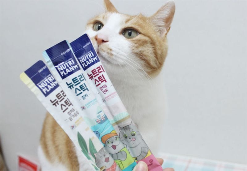 Súp thưởng Nutri Plan nhiều hương vị thơm ngon, kích thích mèo hào hứng hơn trong mỗi bữa ăn