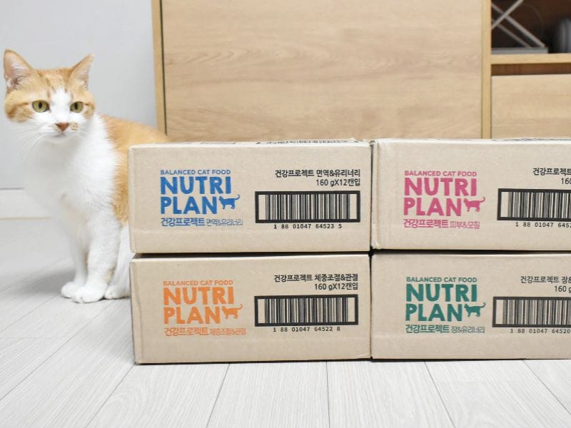 Thức ăn dinh dưỡng Nutri Plan cho mèo