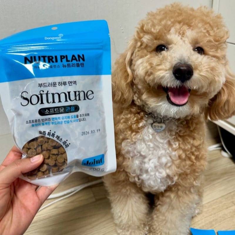 Thức ăn hạt mềm Softmune cho chó giàu dinh dưỡng và nhiều điểm ưu việt