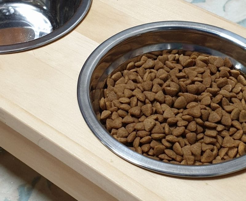 Thức ăn sấy khô cho mèo tiện lợi, dễ bảo quản, cân bằng dinh dưỡng và chi phí hợp lý