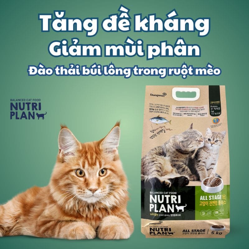 Thức ăn khô Nutri Plan Cat All Stage cho mèo cân bằng dinh dưỡng, tối ưu chi phí, nuôi được mèo ở mọi lứa tuổi