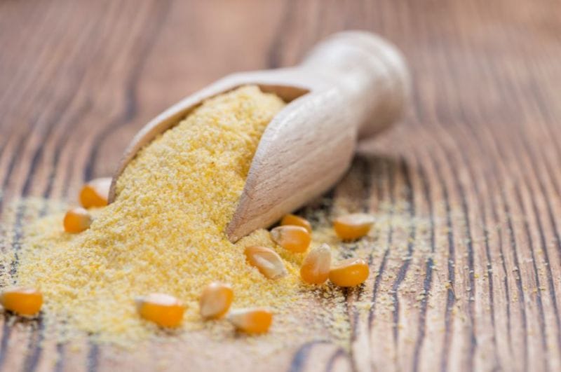 Tinh bột (ngũ cốc) thực chất mang đến nguồn dinh dưỡng hữu ích cho thú cưng