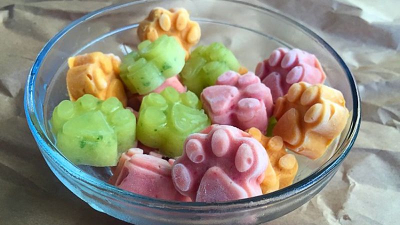 Kem mềm với trái cây mix sữa chua cũng là lựa chọn thú vị cho cún cưng