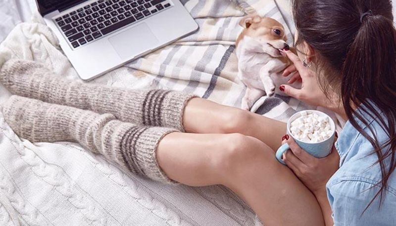 Nếu chó ăn nhầm quá nhiều kẹo dẻo, hãy liên hệ bác sĩ thú y ngay lập tức